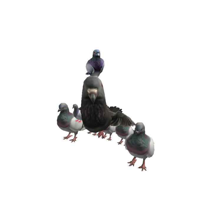 @Pigeonticklerr