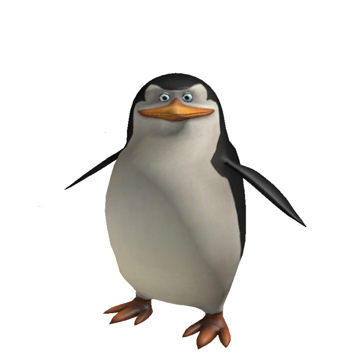 @19q1c