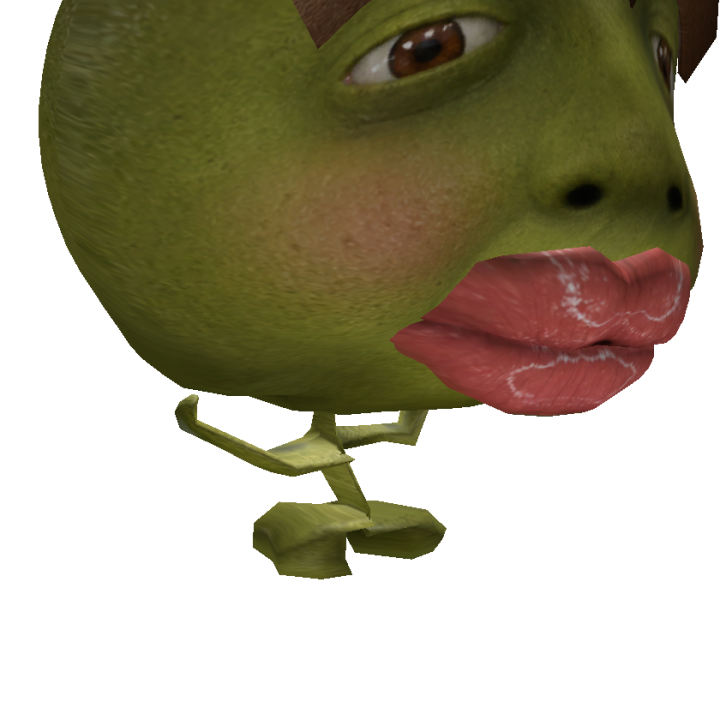 @ditrpnt